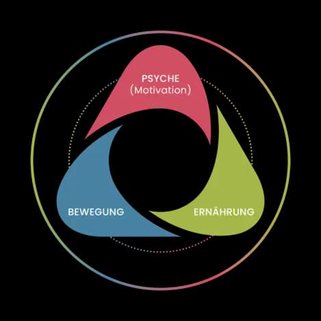 Diagram: a cycle of three pillars, mindset (motivation), movement, and nutrition, connected together.